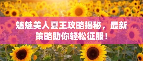 魑魅美人夏王攻略揭秘,最新策略助你轻松征服!