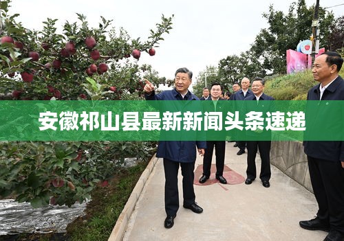 安徽祁山县最新新闻头条速递