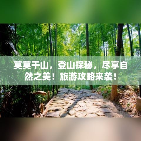 莫莫干山,登山探秘,尽享自然之美!旅游攻略来袭!