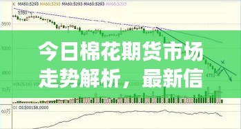 今日棉花期货市场走势解析,最新信息及影响因素深度分析
