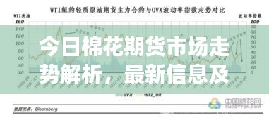 今日棉花期货市场走势解析,最新信息及影响因素深度分析
