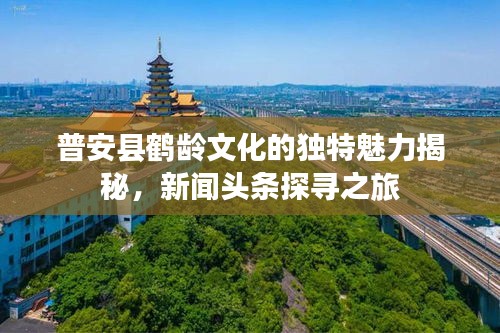 普安县鹤龄文化的独特魅力揭秘,新闻头条探寻之旅