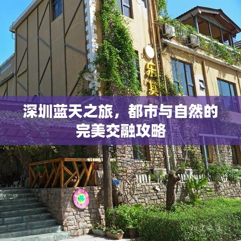 深圳蓝天之旅,都市与自然的完美交融攻略