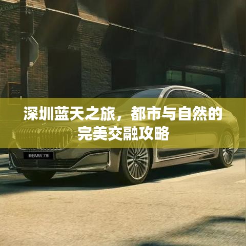 深圳蓝天之旅,都市与自然的完美交融攻略