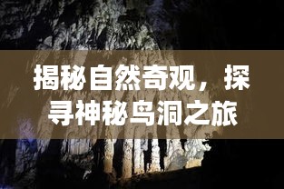揭秘自然奇观,探寻神秘鸟洞之旅