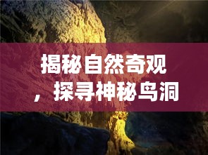 揭秘自然奇观,探寻神秘鸟洞之旅