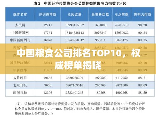 中国粮食公司排名TOP10,权威榜单揭晓