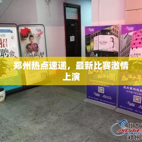 郑州热点速递,最新比赛激情上演