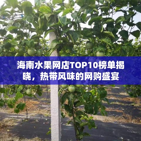 海南水果网店TOP10榜单揭晓,热带风味的网购盛宴