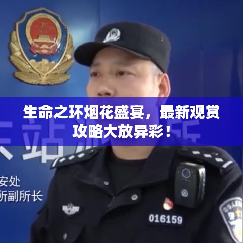 生命之环烟花盛宴,最新观赏攻略大放异彩!