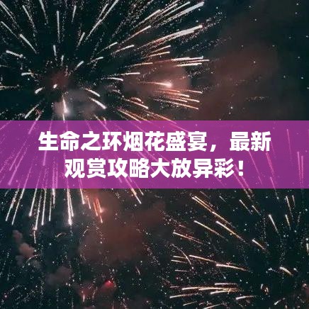 生命之环烟花盛宴,最新观赏攻略大放异彩!