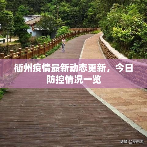 衢州疫情最新动态更新,今日防控情况一览