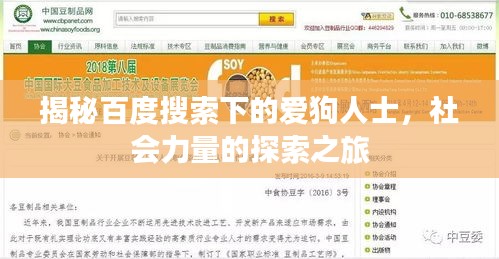 揭秘百度搜索下的爱狗人士,社会力量的探索之旅