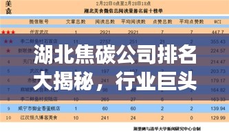 湖北焦碳公司排名大揭秘,行业巨头榜单揭晓!