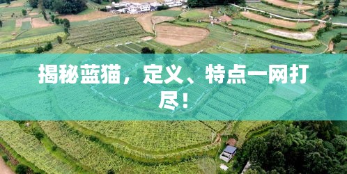 鸟飞兔走 第2页