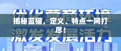 揭秘蓝猫,定义、特点一网打尽!