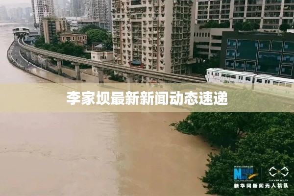 李家坝最新新闻动态速递