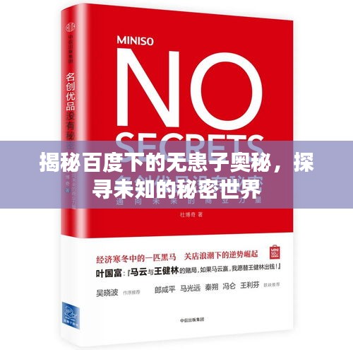 揭秘百度下的无患子奥秘,探寻未知的秘密世界