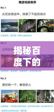 揭秘百度下的无患子奥秘,探寻未知的秘密世界