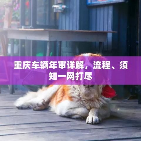 重庆车辆年审详解,流程、须知一网打尽