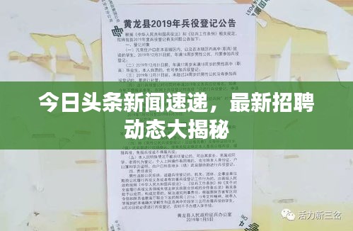 今日头条新闻速递,最新招聘动态大揭秘