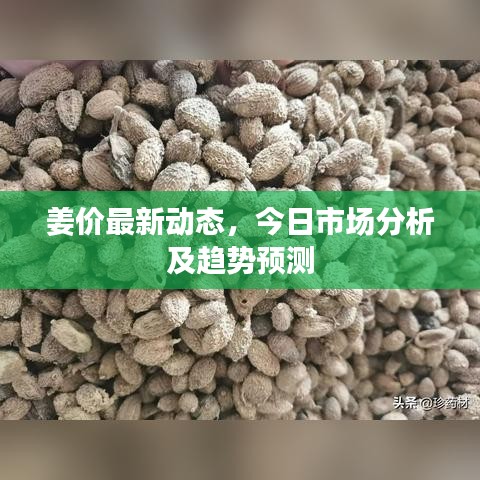 姜价最新动态,今日市场分析及趋势预测
