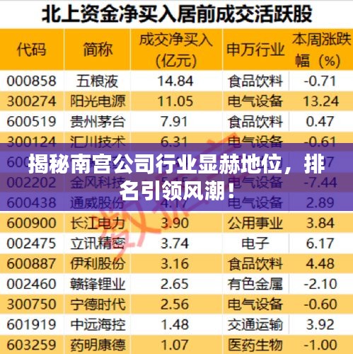揭秘南宫公司行业显赫地位,排名引领风潮!