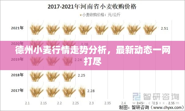 德州小麦行情走势分析,最新动态一网打尽