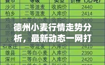 德州小麦行情走势分析,最新动态一网打尽