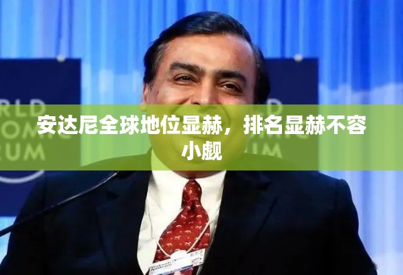 安达尼全球地位显赫,排名显赫不容小觑