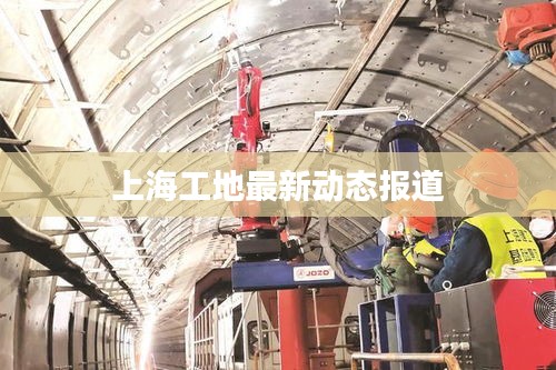上海工地最新动态报道