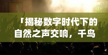 「揭秘数字时代下的自然之声交响,千鸟嘶吼探秘」