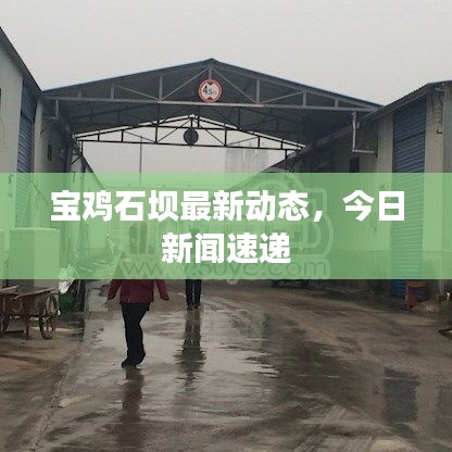 宝鸡石坝最新动态,今日新闻速递