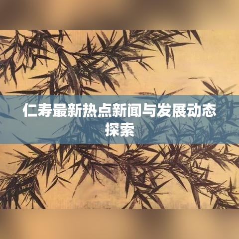 仁寿最新热点新闻与发展动态探索