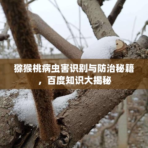 猕猴桃病虫害识别与防治秘籍,百度知识大揭秘