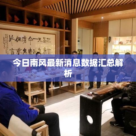 今日南风最新消息数据汇总解析