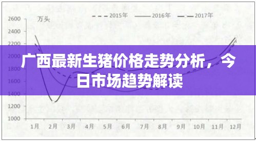 广西最新生猪价格走势分析,今日市场趋势解读