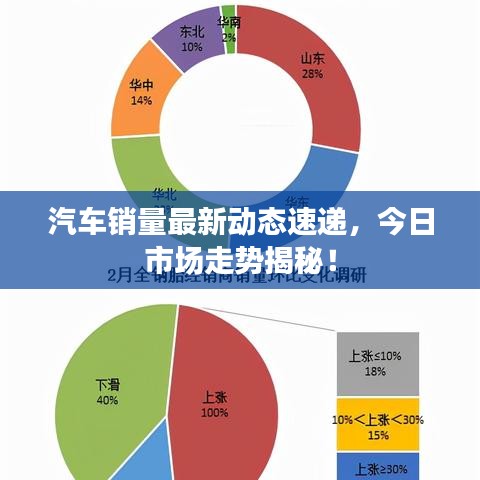 汽车销量最新动态速递,今日市场走势揭秘!