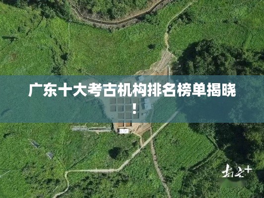 广东十大考古机构排名榜单揭晓!