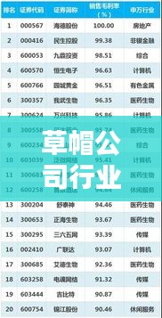 草帽公司行业排名揭晓,引领行业的荣耀之选!