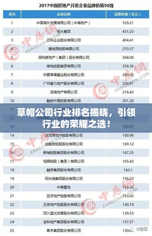 草帽公司行业排名揭晓,引领行业的荣耀之选!