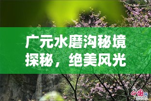 广元水磨沟秘境探秘,绝美风光与实用攻略全解析