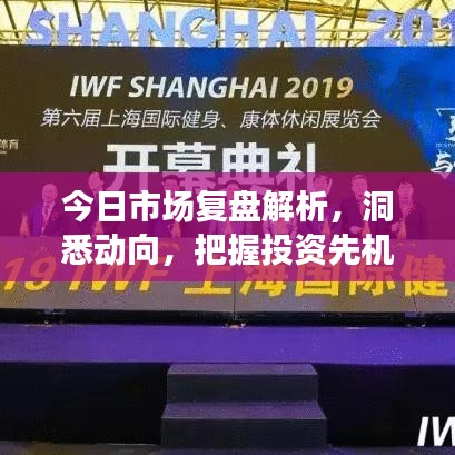 今日市场复盘解析,洞悉动向,把握投资先机