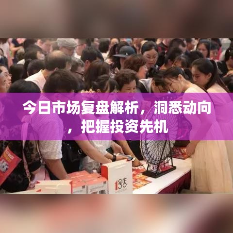 今日市场复盘解析,洞悉动向,把握投资先机