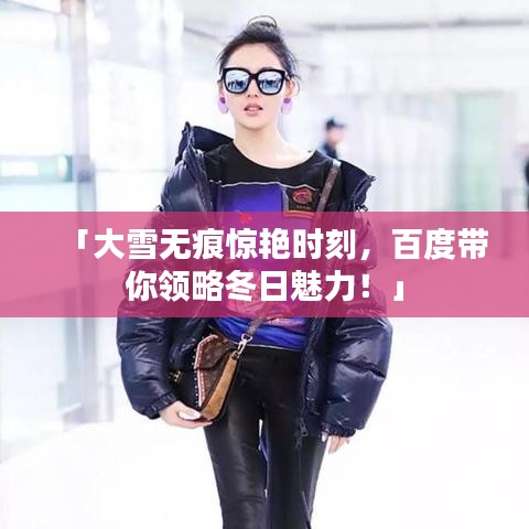 「大雪无痕惊艳时刻,百度带你领略冬日魅力!」