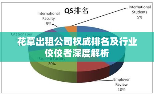 花草出租公司权威排名及行业佼佼者深度解析