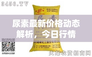 尿素最新价格动态解析,今日行情走势及分析