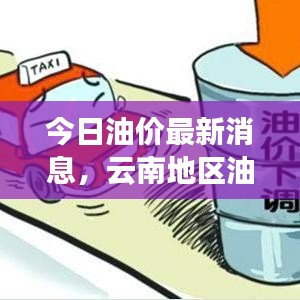 今日油价最新消息,云南地区油价动态深度解析