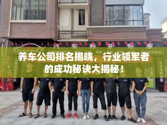 养车公司排名揭晓,行业领军者的成功秘诀大揭秘!