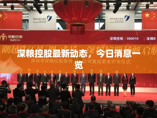 深粮控股最新动态,今日消息一览